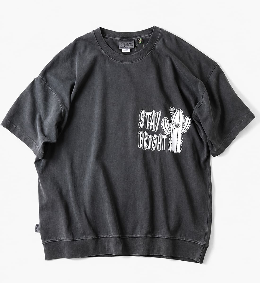 Gym Master ジムマスター 6.2oz ピグメントサボテンビッグTEE ( G733782 )